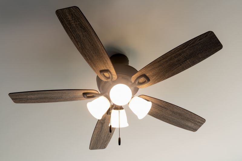 Ceiling Fan Replacement detail