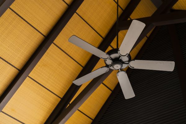 Ceiling Fan Service in Albany