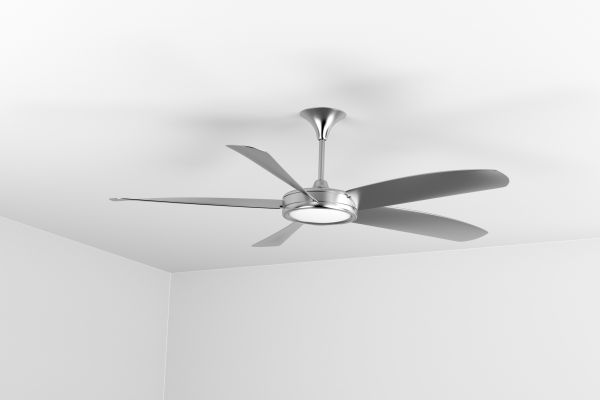 Ceiling Fan Replacement in Albany