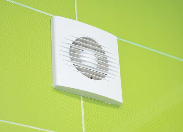 Exhaust Fan Replacement in Albany