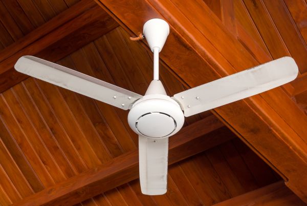Ceiling Fan Mounting in Albany
