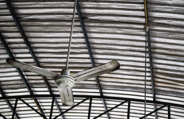 Commercial Ceiling Fan Service in Albany