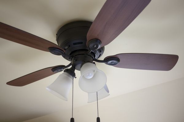 Ceiling Fan Light Repair in Albany
